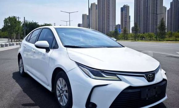 Buy Used Toyota Corolla White Car in Tbilisi in Tbilisi