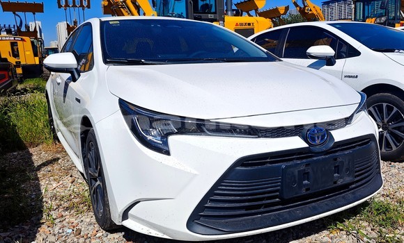Buy Used Toyota Corolla White Car in Tbilisi in Tbilisi