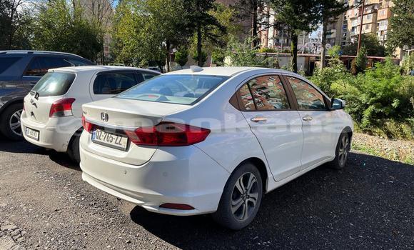 Buy Used Honda City White Car in Kutaisi in Imereti