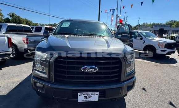 Buy Used Ford F–150 Other Car in Ahalkalaki in Samche-Zhavaheti