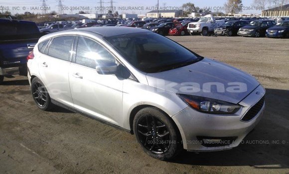 Buy Used Ford Focus Silver Car in Tbilisi in Tbilisi