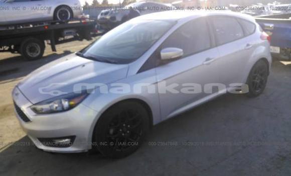 Buy Used Ford Focus Silver Car in Tbilisi in Tbilisi Buy Used Ford Focus Silver Car in Tbilisi in Tbilisi