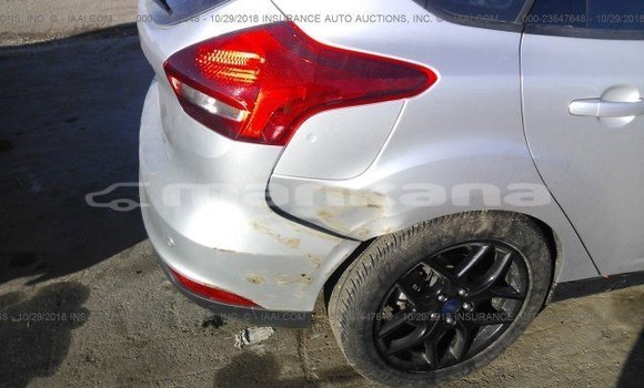 Buy Used Ford Focus Silver Car in Tbilisi in Tbilisi Buy Used Ford Focus Silver Car in Tbilisi in Tbilisi