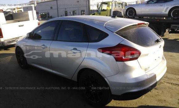 Buy Used Ford Focus Silver Car in Tbilisi in Tbilisi Buy Used Ford Focus Silver Car in Tbilisi in Tbilisi