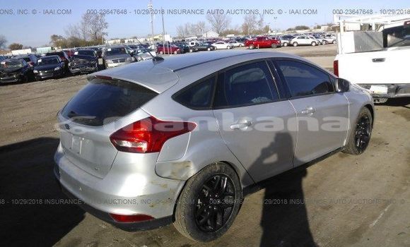 Buy Used Ford Focus Silver Car in Tbilisi in Tbilisi Buy Used Ford Focus Silver Car in Tbilisi in Tbilisi