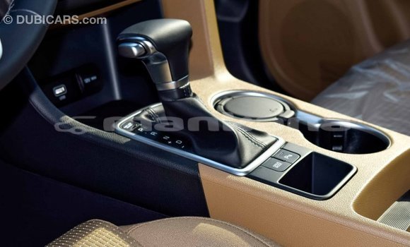 Buy Import Kia Sportage Other Car in Import - Dubai in Abhasia Buy Import Kia Sportage Other Car in Import - Dubai in Abhasia