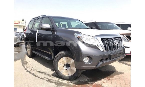 Buy Import Toyota Prado Other Car in Import - Dubai in Abhasia Buy Import Toyota Prado Other Car in Import - Dubai in Abhasia