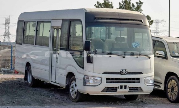 Buy Import Toyota Coaster White Car in Import - Dubai in Abhasia Buy Import Toyota Coaster White Car in Import - Dubai in Abhasia