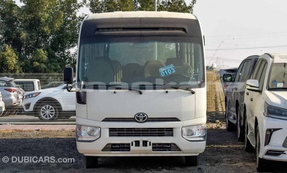Buy Import Toyota Coaster White Car in Import - Dubai in Abhasia Buy Import Toyota Coaster White Car in Import - Dubai in Abhasia