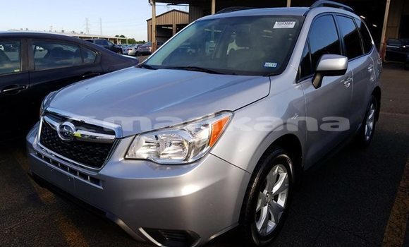Buy Used Subaru Forester Silver Car in Tbilisi in Tbilisi