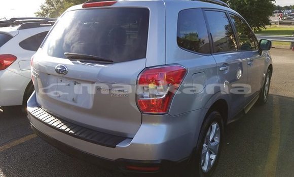 Buy Used Subaru Forester Silver Car in Tbilisi in Tbilisi Buy Used Subaru Forester Silver Car in Tbilisi in Tbilisi