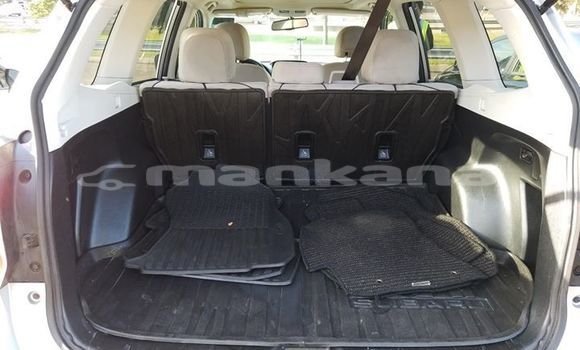 Buy Used Subaru Forester Silver Car in Tbilisi in Tbilisi Buy Used Subaru Forester Silver Car in Tbilisi in Tbilisi