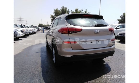Buy Import Kia Sportage Black Car in Import - Dubai in Abhasia Buy Import Kia Sportage Black Car in Import - Dubai in Abhasia