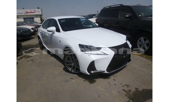 Buy Import Lexus IS White Car in Import - Dubai in Abhasia Buy Import Lexus IS White Car in Import - Dubai in Abhasia