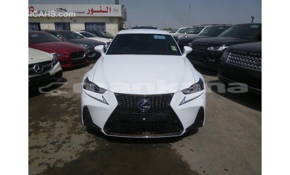 Buy Import Lexus IS White Car in Import - Dubai in Abhasia Buy Import Lexus IS White Car in Import - Dubai in Abhasia