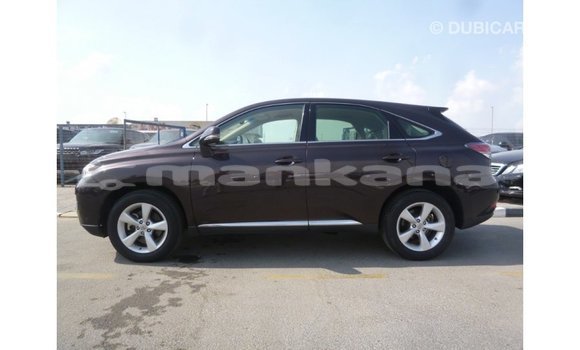 Buy Import Lexus RX Brown Car in Import - Dubai in Abhasia Buy Import Lexus RX Brown Car in Import - Dubai in Abhasia