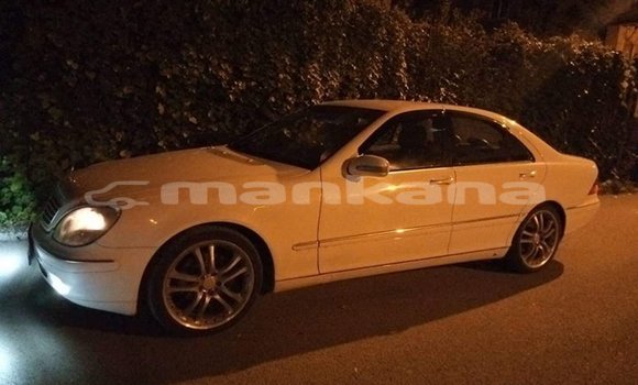Buy Used Mercedes-Benz E-klasse White Car in Tbilisi in Tbilisi