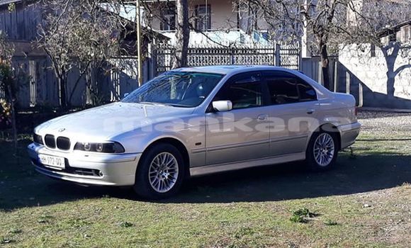 Buy Used BMW 5–Series Silver Car in Kutaisi in Imereti
