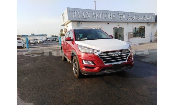 Buy Import Hyundai Tucson Red Car in Import - Dubai in Abhasia Buy Import Hyundai Tucson Red Car in Import - Dubai in Abhasia