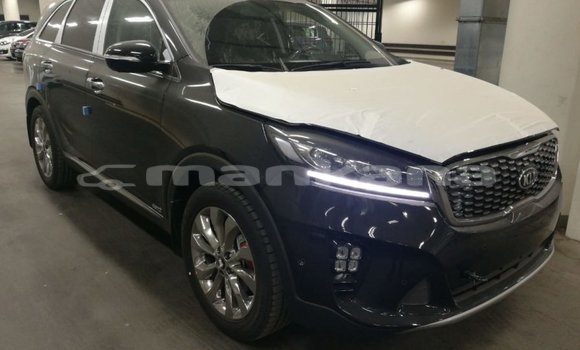 Buy Import Kia Sorento Brown Car in Import - Dubai in Abhasia Buy Import Kia Sorento Brown Car in Import - Dubai in Abhasia