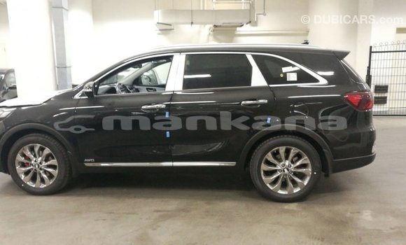 Buy Import Kia Sorento Brown Car in Import - Dubai in Abhasia Buy Import Kia Sorento Brown Car in Import - Dubai in Abhasia