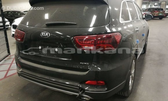 Buy Import Kia Sorento Brown Car in Import - Dubai in Abhasia Buy Import Kia Sorento Brown Car in Import - Dubai in Abhasia