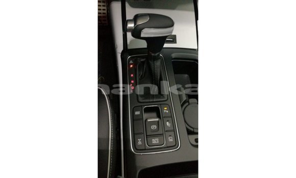 Buy Import Kia Sorento Brown Car in Import - Dubai in Abhasia Buy Import Kia Sorento Brown Car in Import - Dubai in Abhasia