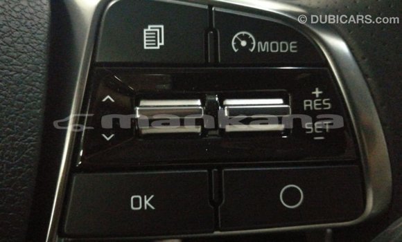 Buy Import Kia Sorento Brown Car in Import - Dubai in Abhasia Buy Import Kia Sorento Brown Car in Import - Dubai in Abhasia