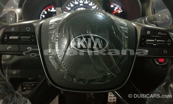 Buy Import Kia Sorento Brown Car in Import - Dubai in Abhasia Buy Import Kia Sorento Brown Car in Import - Dubai in Abhasia