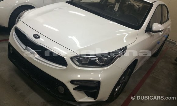 Buy Import Kia Cerato White Car in Import - Dubai in Abhasia Buy Import Kia Cerato White Car in Import - Dubai in Abhasia