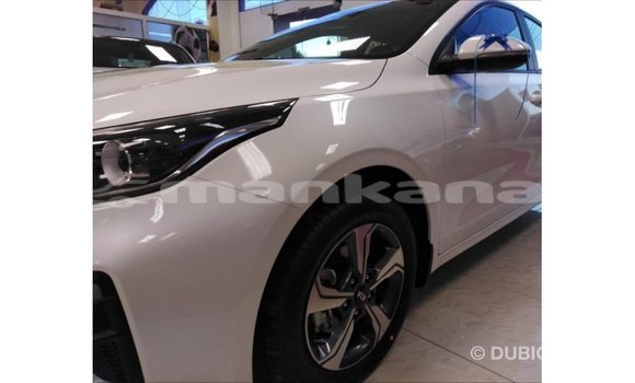 Buy Import Kia Cerato White Car in Import - Dubai in Abhasia Buy Import Kia Cerato White Car in Import - Dubai in Abhasia