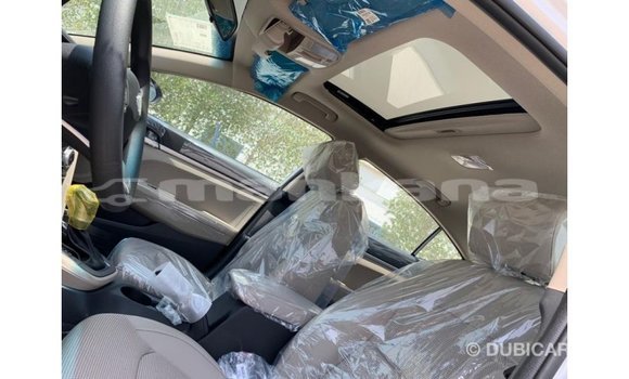 Buy Import Hyundai Elantra White Car in Import - Dubai in Abhasia Buy Import Hyundai Elantra White Car in Import - Dubai in Abhasia