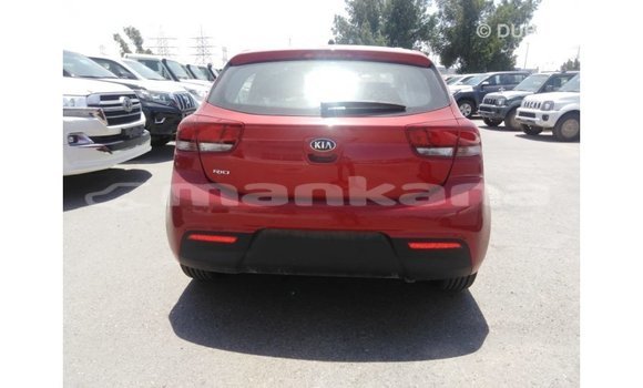 Buy Import Kia Rio Red Car in Import - Dubai in Abhasia Buy Import Kia Rio Red Car in Import - Dubai in Abhasia