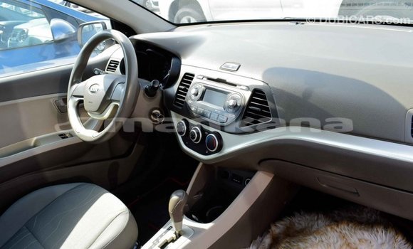 Buy Import Kia Picanto White Car in Import - Dubai in Abhasia Buy Import Kia Picanto White Car in Import - Dubai in Abhasia