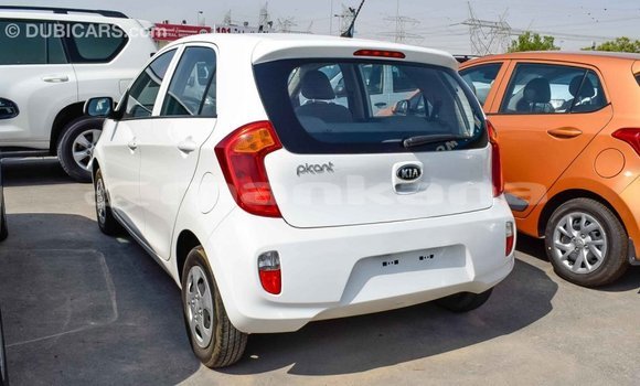 Buy Import Kia Picanto White Car in Import - Dubai in Abhasia Buy Import Kia Picanto White Car in Import - Dubai in Abhasia