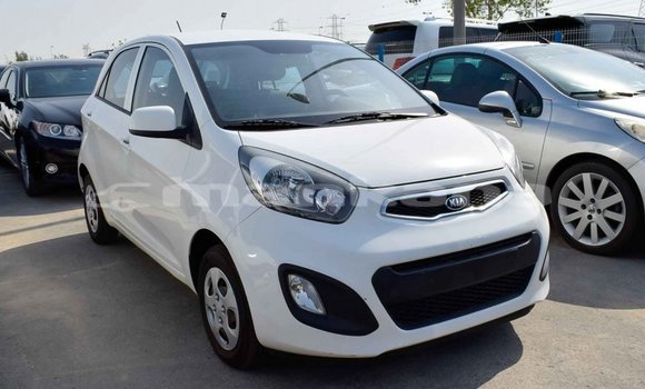 Buy Import Kia Picanto White Car in Import - Dubai in Abhasia Buy Import Kia Picanto White Car in Import - Dubai in Abhasia