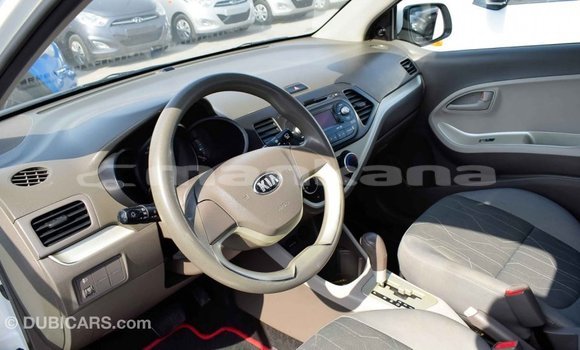 Buy Import Kia Picanto White Car in Import - Dubai in Abhasia Buy Import Kia Picanto White Car in Import - Dubai in Abhasia