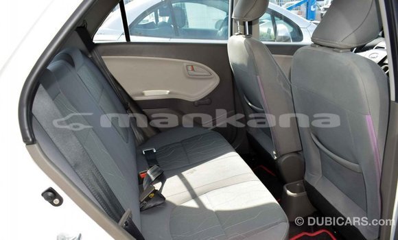 Buy Import Kia Picanto White Car in Import - Dubai in Abhasia Buy Import Kia Picanto White Car in Import - Dubai in Abhasia