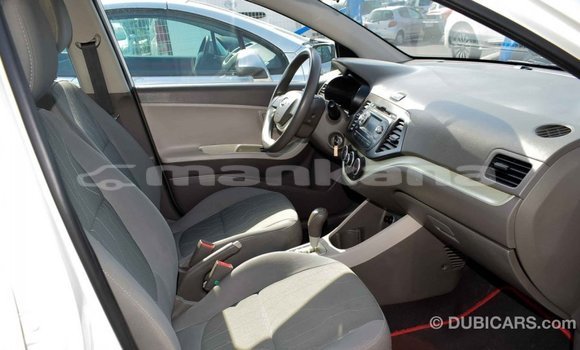 Buy Import Kia Picanto White Car in Import - Dubai in Abhasia Buy Import Kia Picanto White Car in Import - Dubai in Abhasia