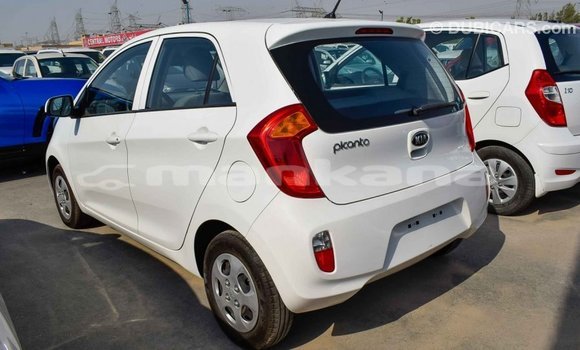 Buy Import Kia Picanto White Car in Import - Dubai in Abhasia Buy Import Kia Picanto White Car in Import - Dubai in Abhasia