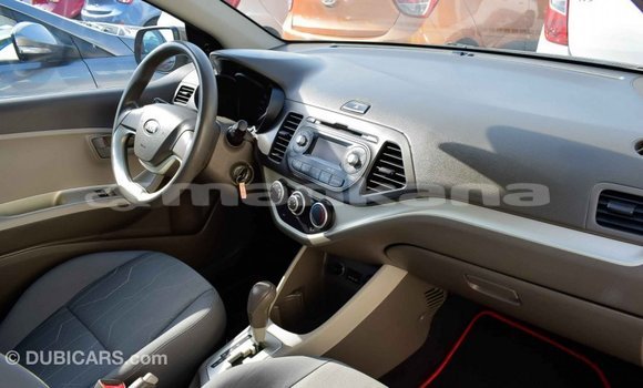 Buy Import Kia Picanto Brown Car in Import - Dubai in Abhasia Buy Import Kia Picanto Brown Car in Import - Dubai in Abhasia