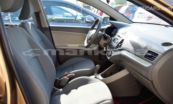 Buy Import Kia Picanto Brown Car in Import - Dubai in Abhasia Buy Import Kia Picanto Brown Car in Import - Dubai in Abhasia