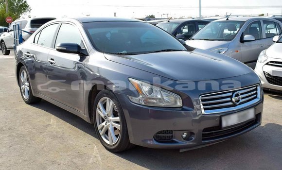 Buy Import Nissan Maxima Other Car in Import - Dubai in Abhasia Buy Import Nissan Maxima Other Car in Import - Dubai in Abhasia