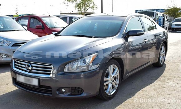 Buy Import Nissan Maxima Other Car in Import - Dubai in Abhasia Buy Import Nissan Maxima Other Car in Import - Dubai in Abhasia