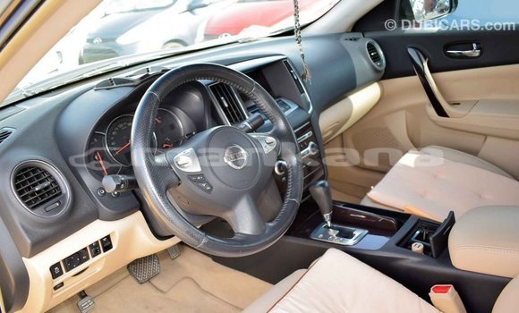 Buy Import Nissan Maxima Other Car in Import - Dubai in Abhasia Buy Import Nissan Maxima Other Car in Import - Dubai in Abhasia
