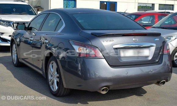 Buy Import Nissan Maxima Other Car in Import - Dubai in Abhasia Buy Import Nissan Maxima Other Car in Import - Dubai in Abhasia