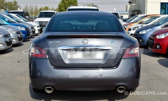 Buy Import Nissan Maxima Other Car in Import - Dubai in Abhasia Buy Import Nissan Maxima Other Car in Import - Dubai in Abhasia