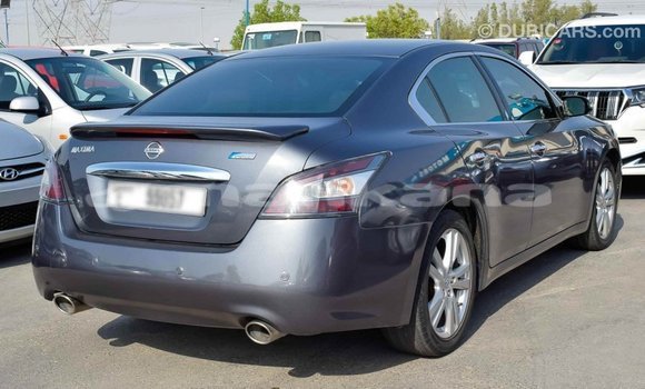Buy Import Nissan Maxima Other Car in Import - Dubai in Abhasia Buy Import Nissan Maxima Other Car in Import - Dubai in Abhasia
