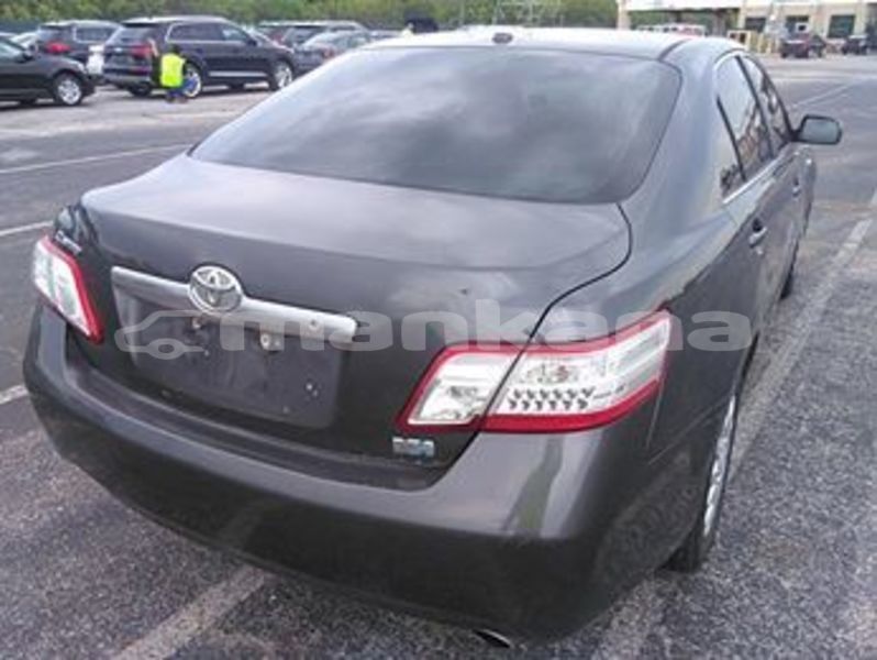 Big with watermark 65446093 2517675031585752 8606430706685444096 n