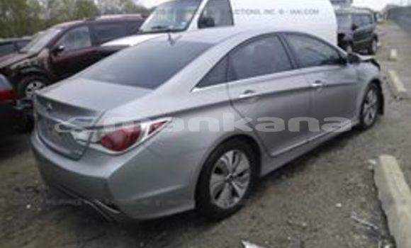 Medium with watermark 65309392 2510444725642116 7799684734367301632 n